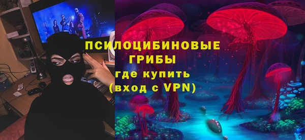 бошки Арсеньев