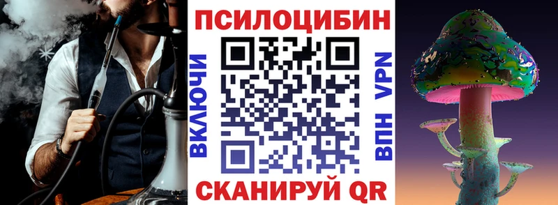Галлюциногенные грибы Psilocybine cubensis купить закладку Кирово-Чепецк